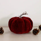 Burgundy Velvet Pumpkin (20cm)