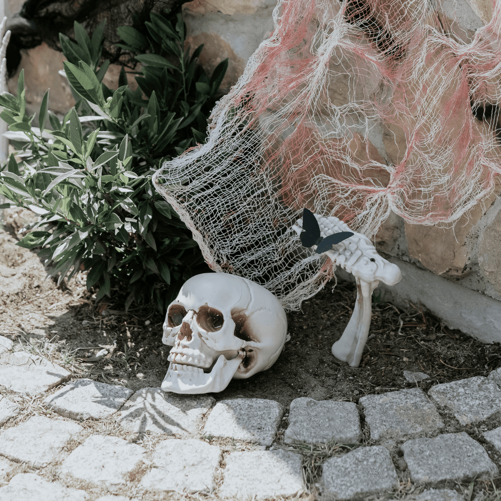 Skeleton Decoration Set