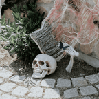 Skeleton Decoration Set