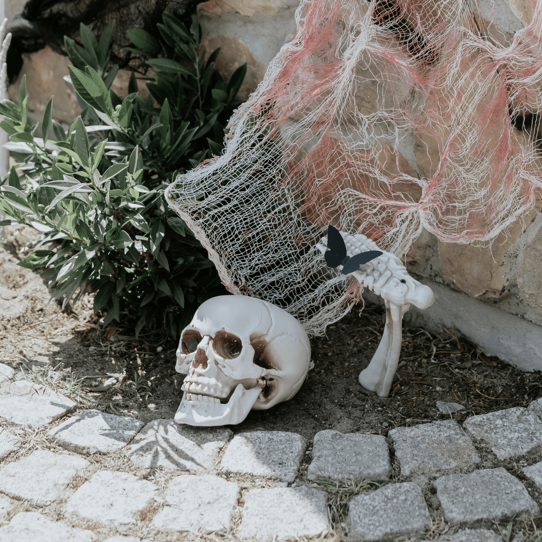 Skeleton Decoration Set