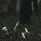 Skeleton Decoration Set