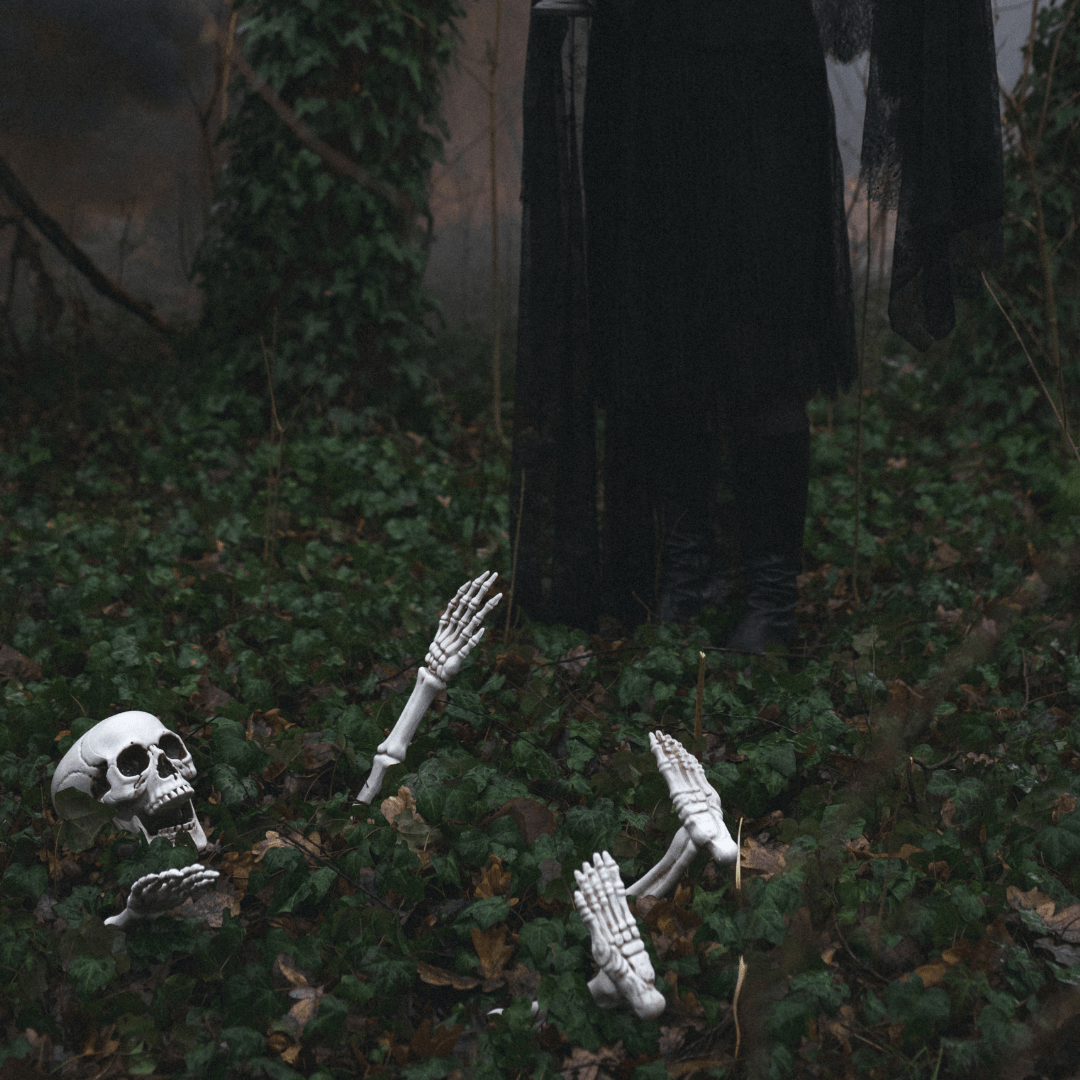 Skeleton Decoration Set