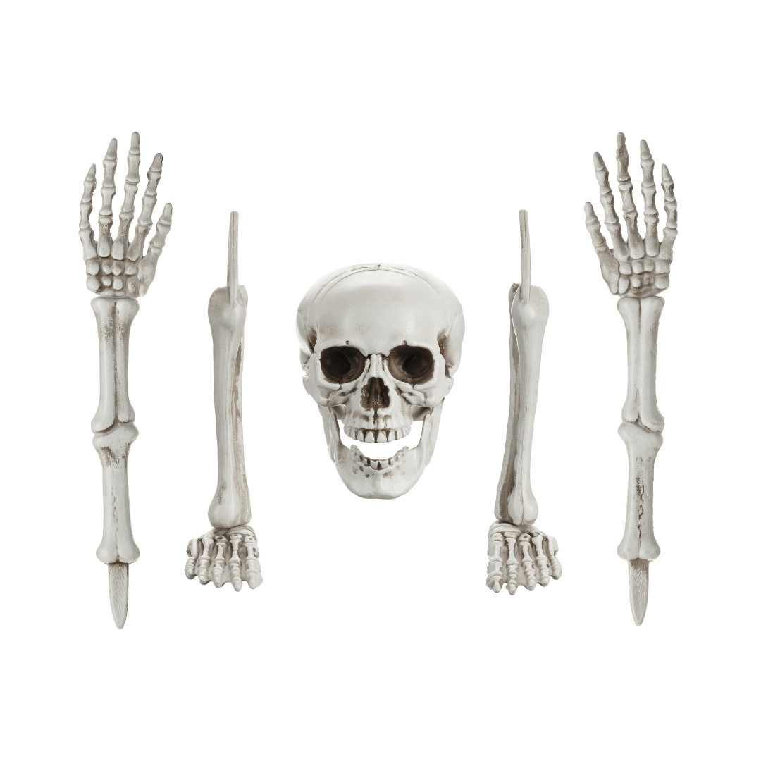 Skeleton Decoration Set