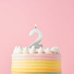 Silver Ombre Number Cake Candles (0-9) - Birthday Cake Candles Birthday Candles Silver Ombre Number Cake Candles (0-9) 2