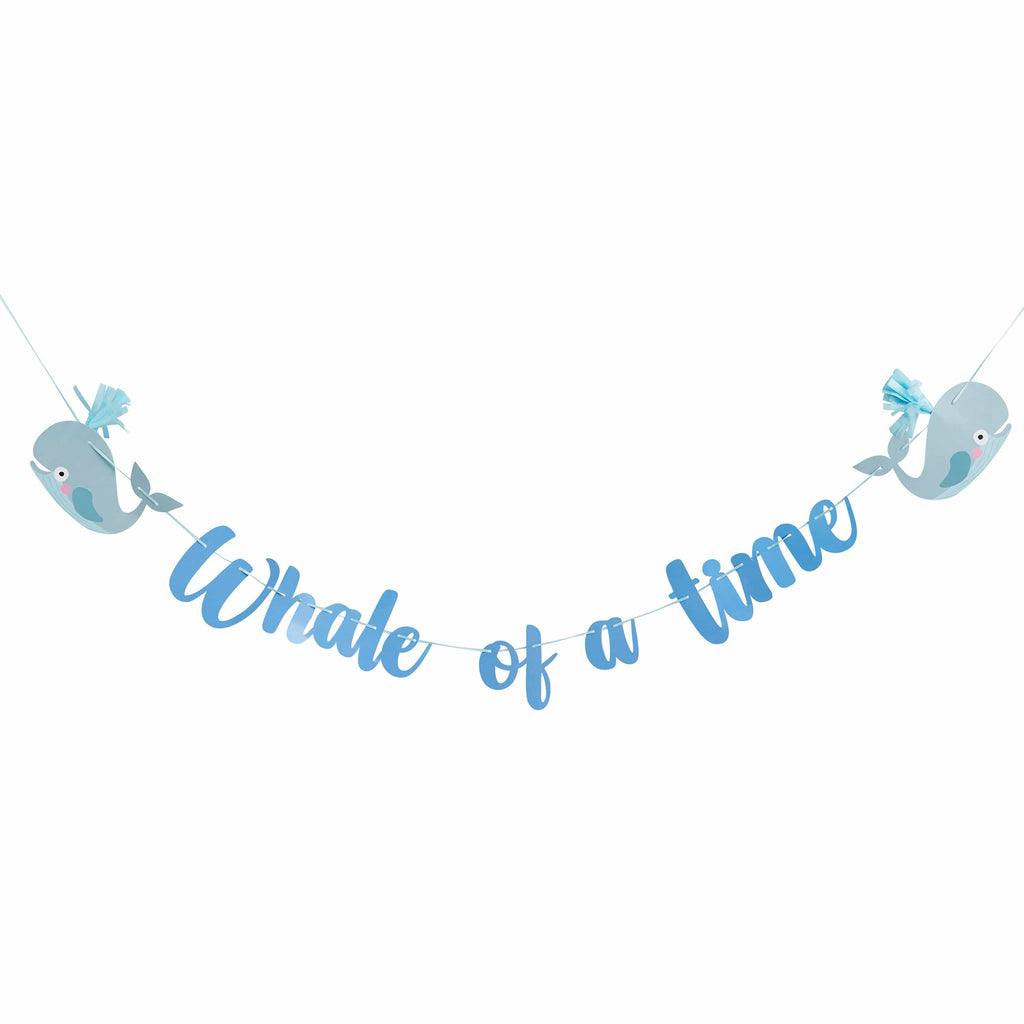 Whale of a Time Tassel Party Banner - 2m